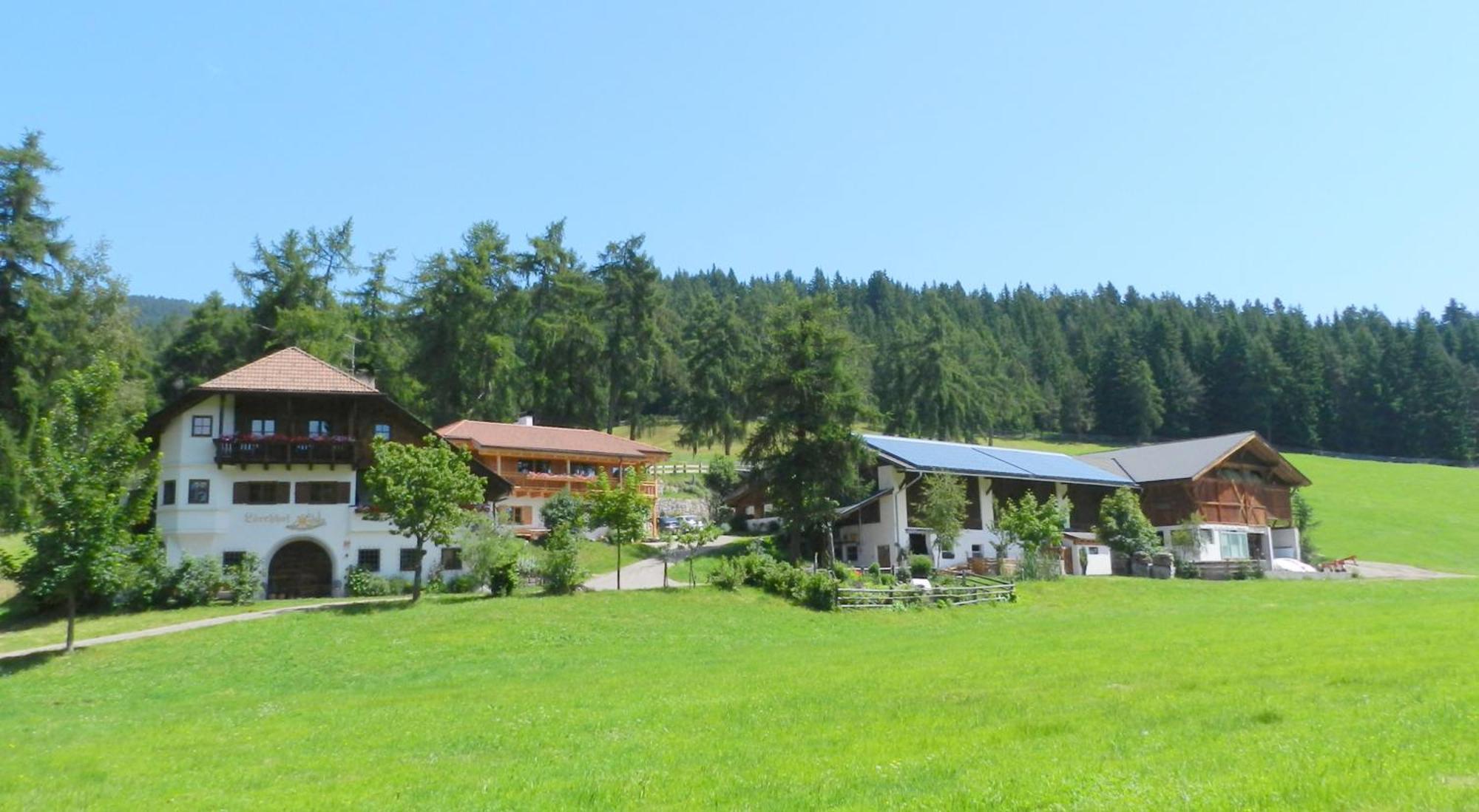 Laerchhof Collalbo Exterior foto
