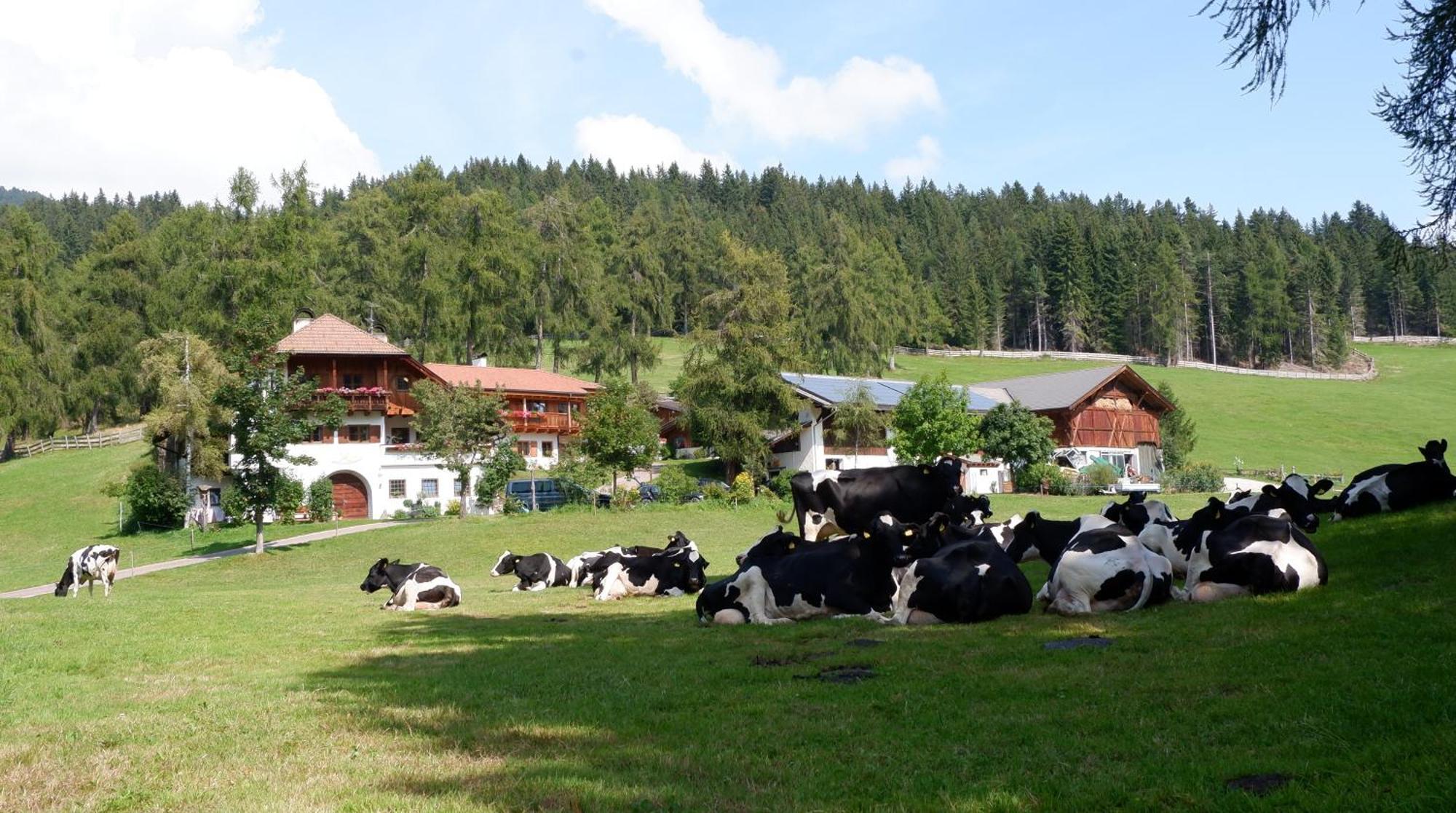 Laerchhof Collalbo Exterior foto